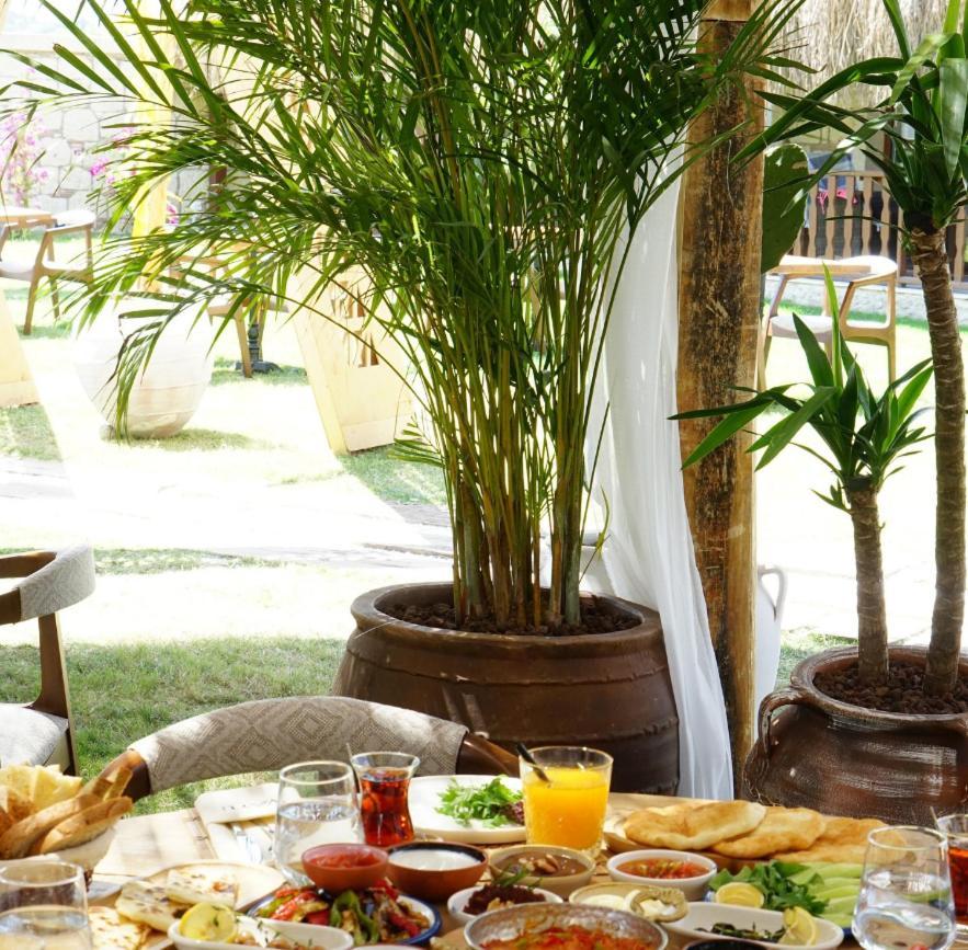 Albeon Luxury Hotel - 알라카티 외부 사진